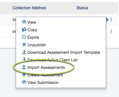 Import Assessment